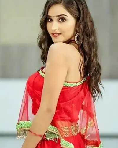 Escort In Chilakaluripet